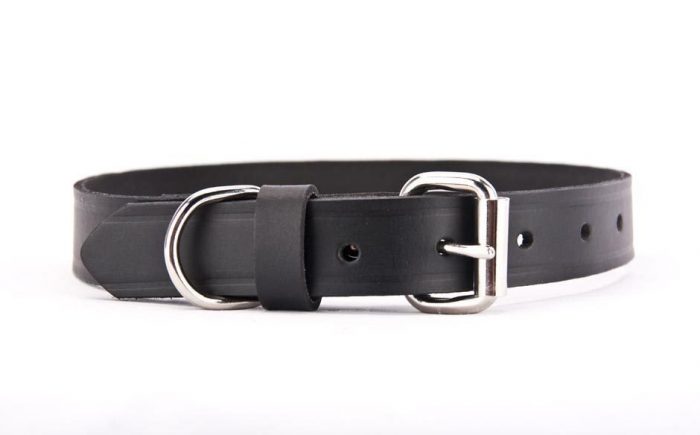 Genuine leather plain dog collar made in Australia