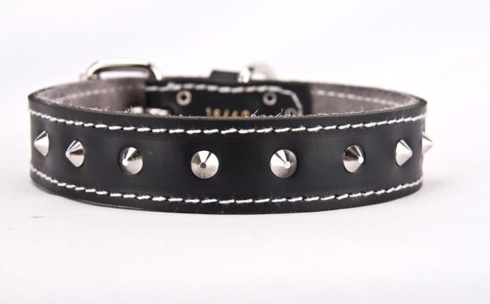 Black genuine leather dog collar with studs