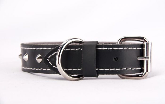 Black genuine leather dog collar with studs - Image 2