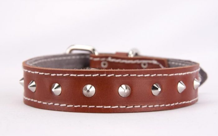 Tan genuine leather dog collar with studs