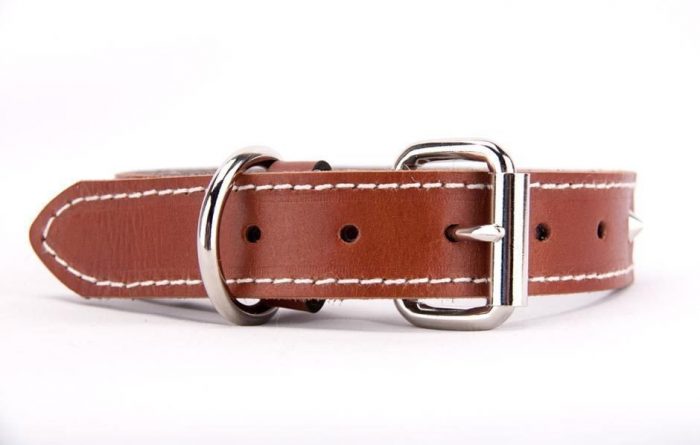 Tan genuine leather dog collar with studs - Image 2