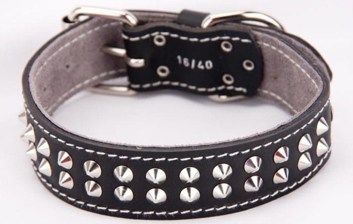 Genuine leather black dog collar with 2 rows of studs