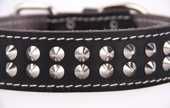 Genuine leather black dog collar with 2 rows of studs - Image 2