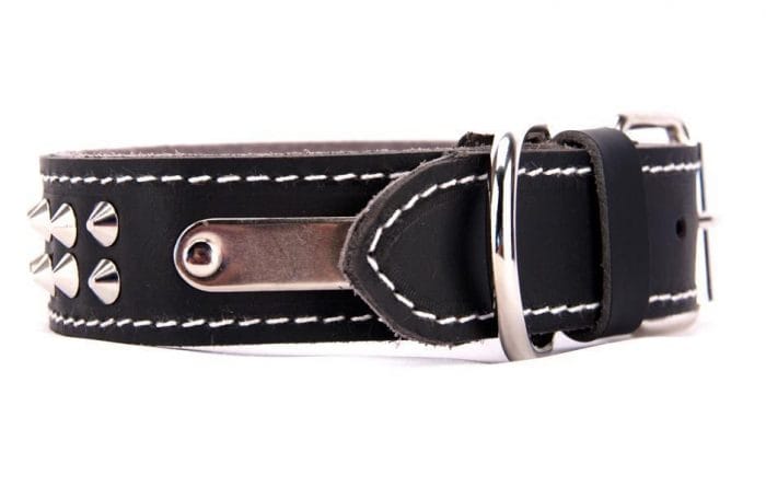 Genuine leather black dog collar with 2 rows of studs - Image 3