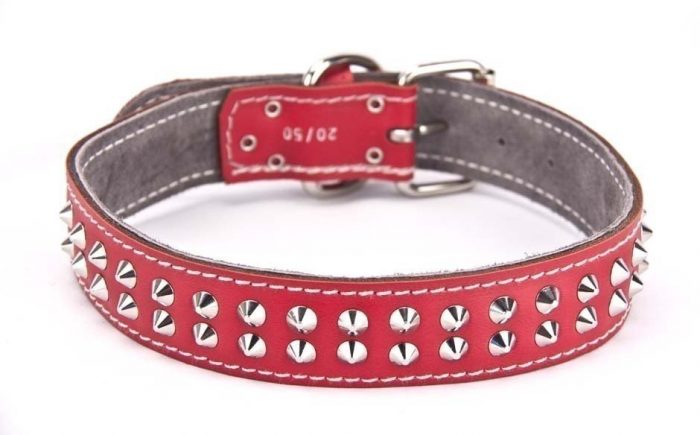 Genuine leather red dog collar with 2 rows of studs - Image 6