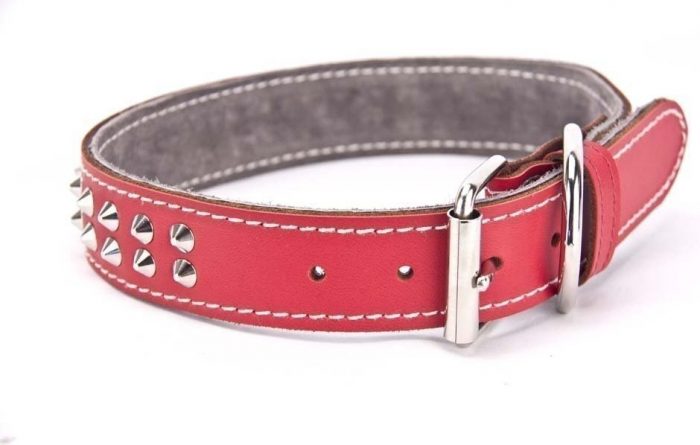 Genuine leather red dog collar with 2 rows of studs - Image 5