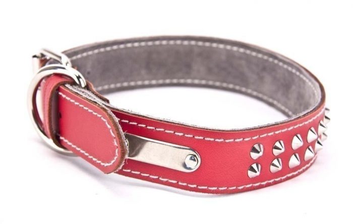 Genuine leather red dog collar with 2 rows of studs - Image 4