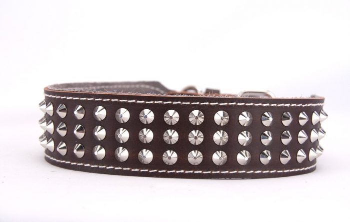 Genuine brown leather dog collar with 3 rows of studs