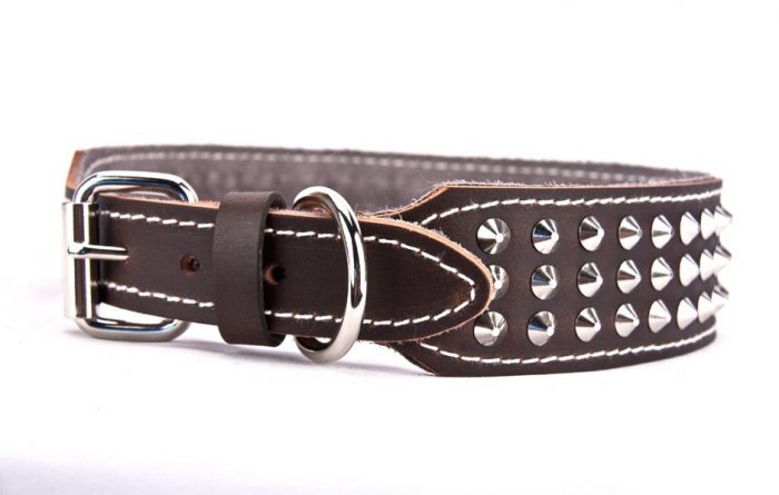 Genuine brown leather dog collar with 3 rows of studs - Image 2