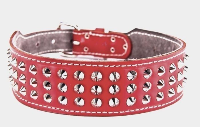 Genuine red leather plain dog collar with 3 rows of studs