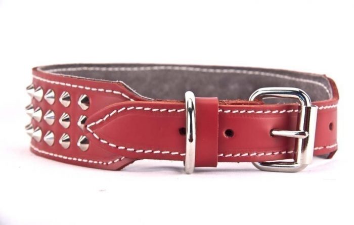 Genuine red leather plain dog collar with 3 rows of studs - Image 2