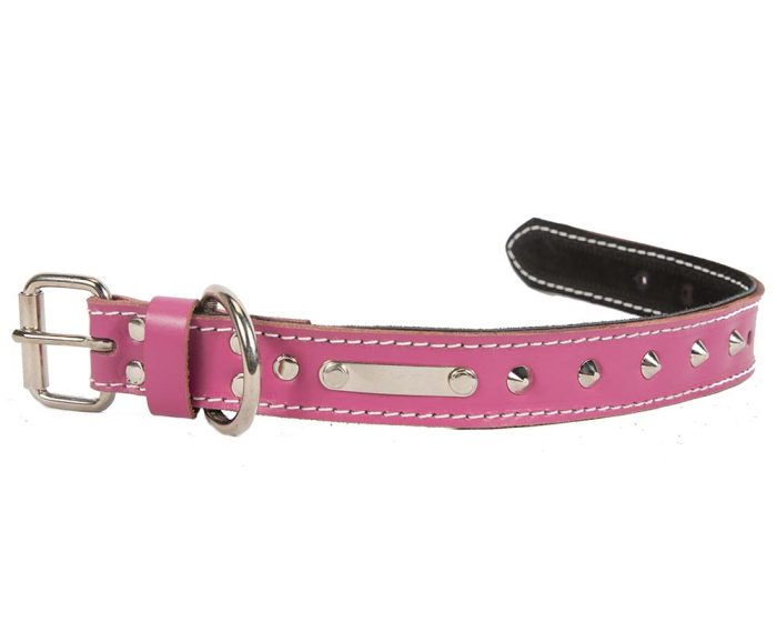 Pink genuine leather dog collar with studs