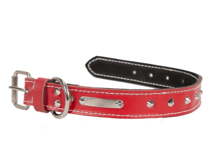 Red genuine leather dog collar with studs