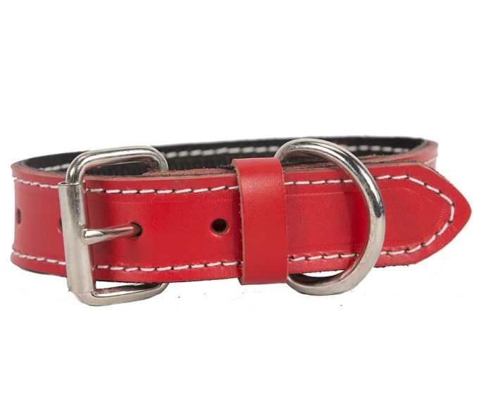 Red genuine leather dog collar with studs - Image 4