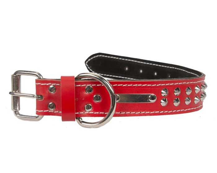 Genuine leather red dog collar with 2 rows of studs