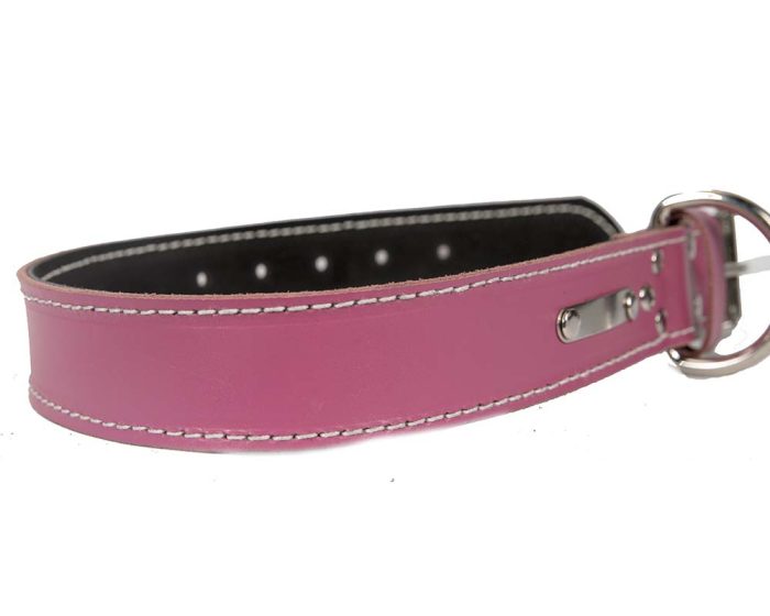 Genuine pink leather plain dog collar made in Australia - Image 2